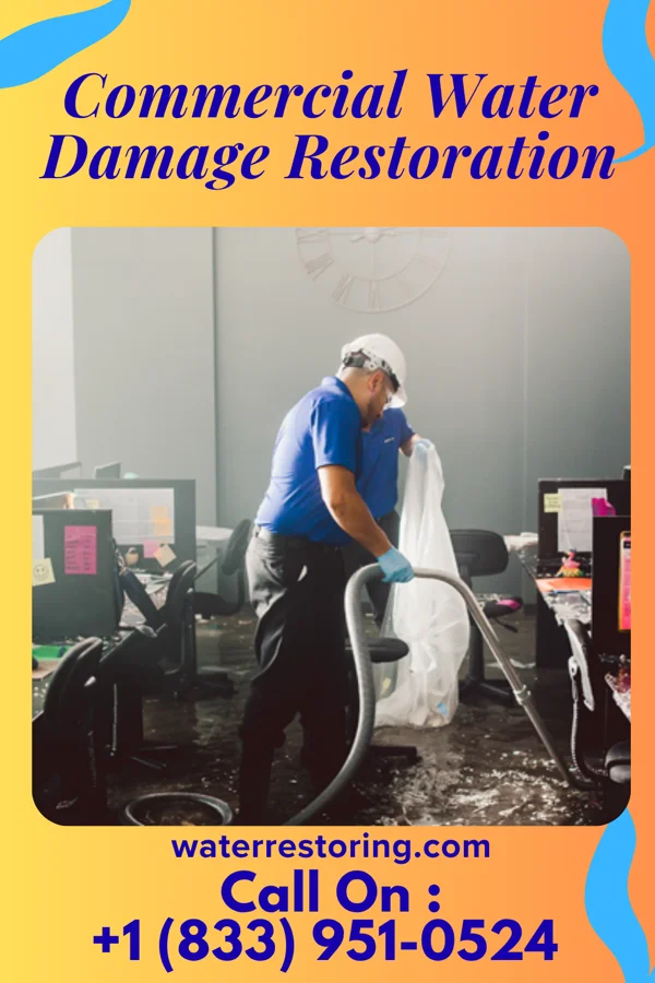 Commercial Water Damage Restoration in Center, NE